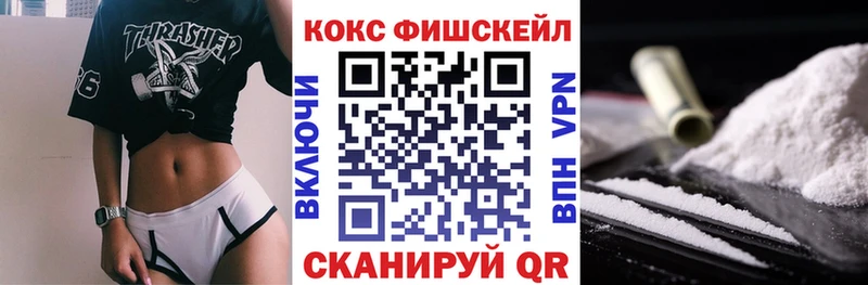 Cocaine FishScale  продажа наркотиков  Солнечногорск 