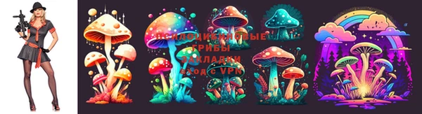 гидропоника Алексеевка